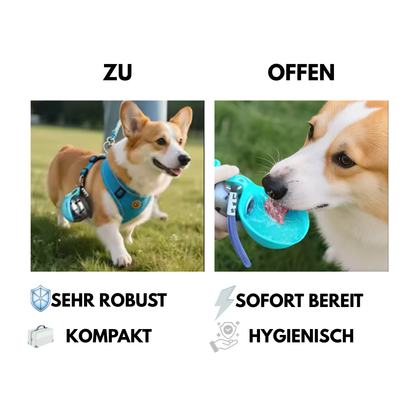 BuddyBall - 2-in-1 Trinkflasche & Hundenapf